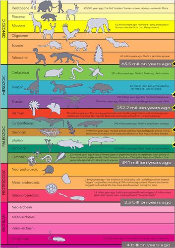 evolution1