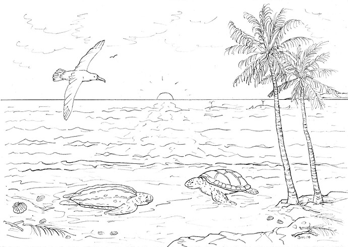 2010 Meeting of four threatened species on Western Australia coast - Drawing by Dana