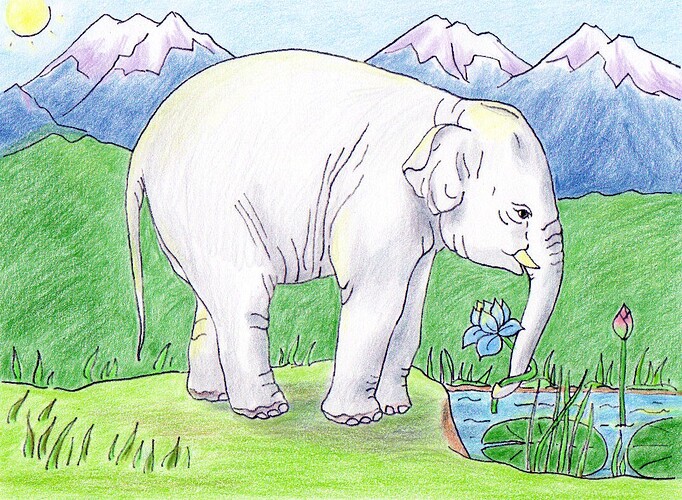 2011 Young Elephant gathering Lotus plants for Sariputta - Drawing by Dana