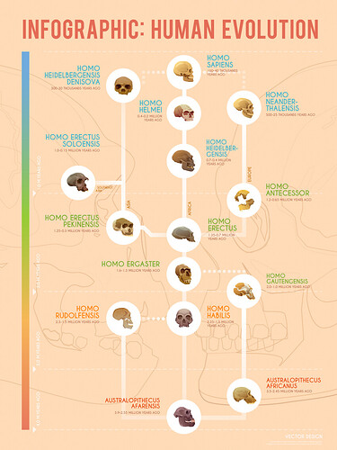 Human-Evolution-Infographic-850x1133