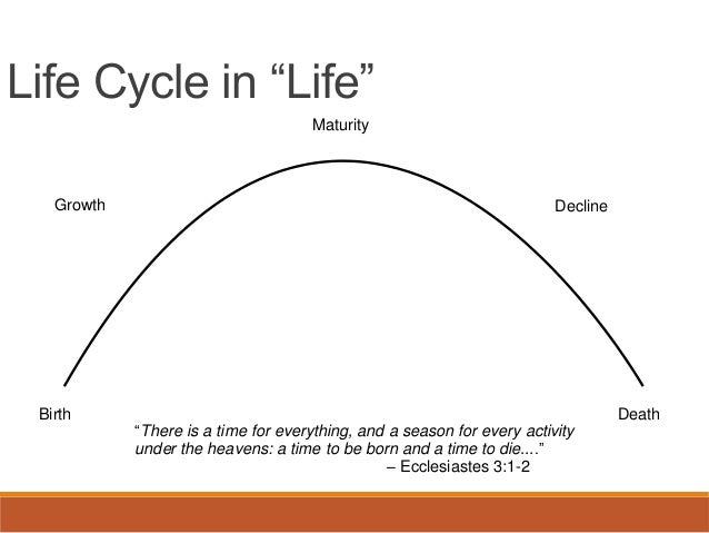 Life cycle 1