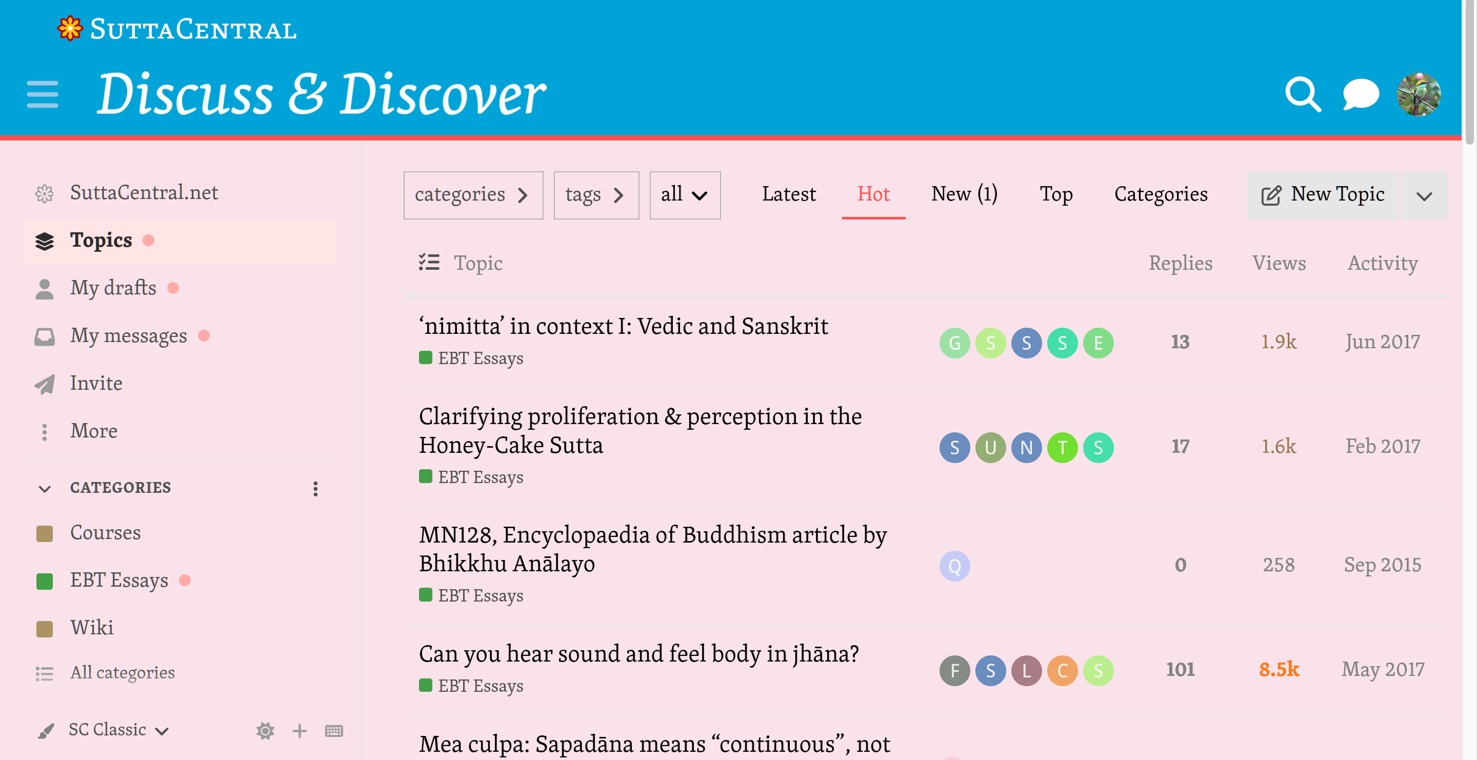 New Themes! 🎨 [2026] - Updates - Discuss & Discover